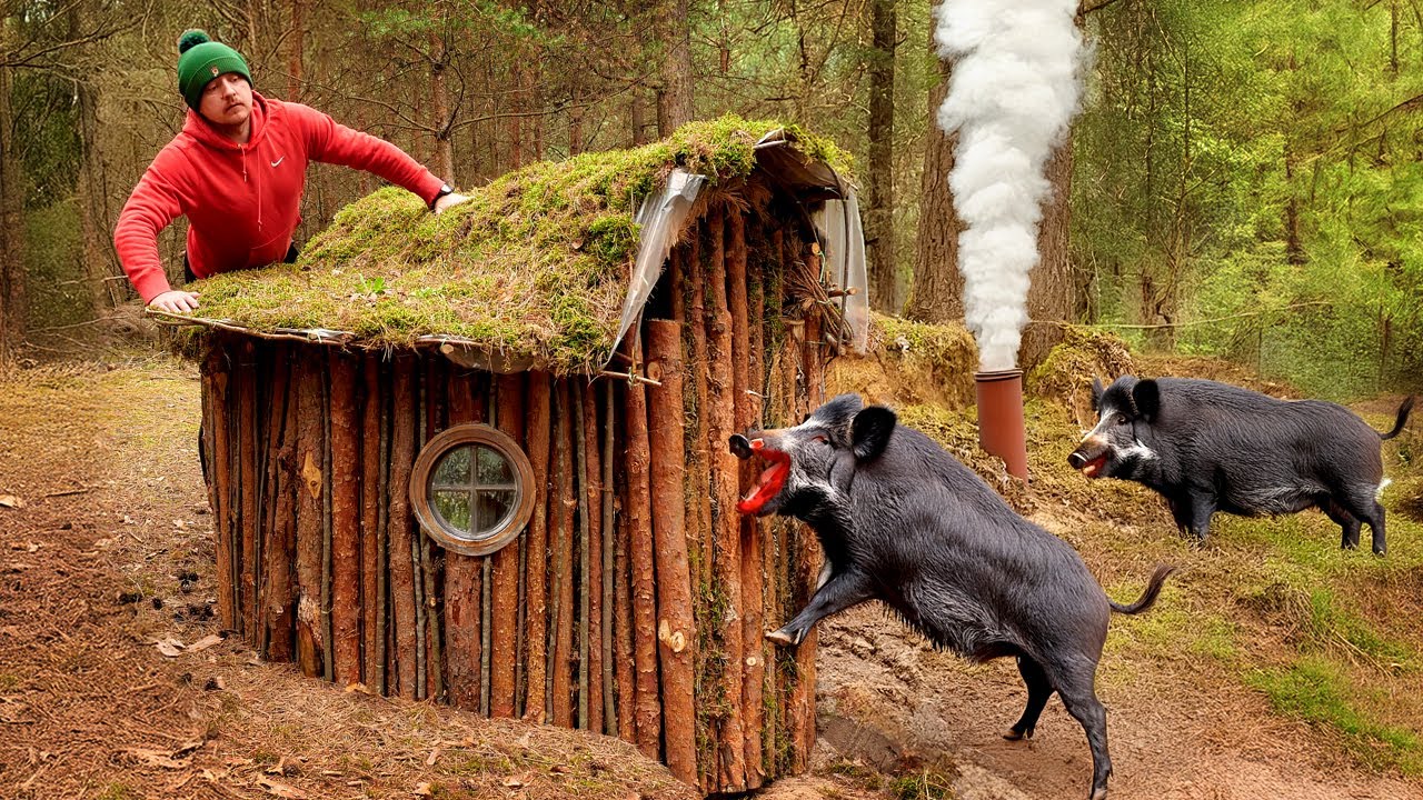 Building a Log Cabin Shelter to survive among wild boars in their den. Bushcraft. Dugout