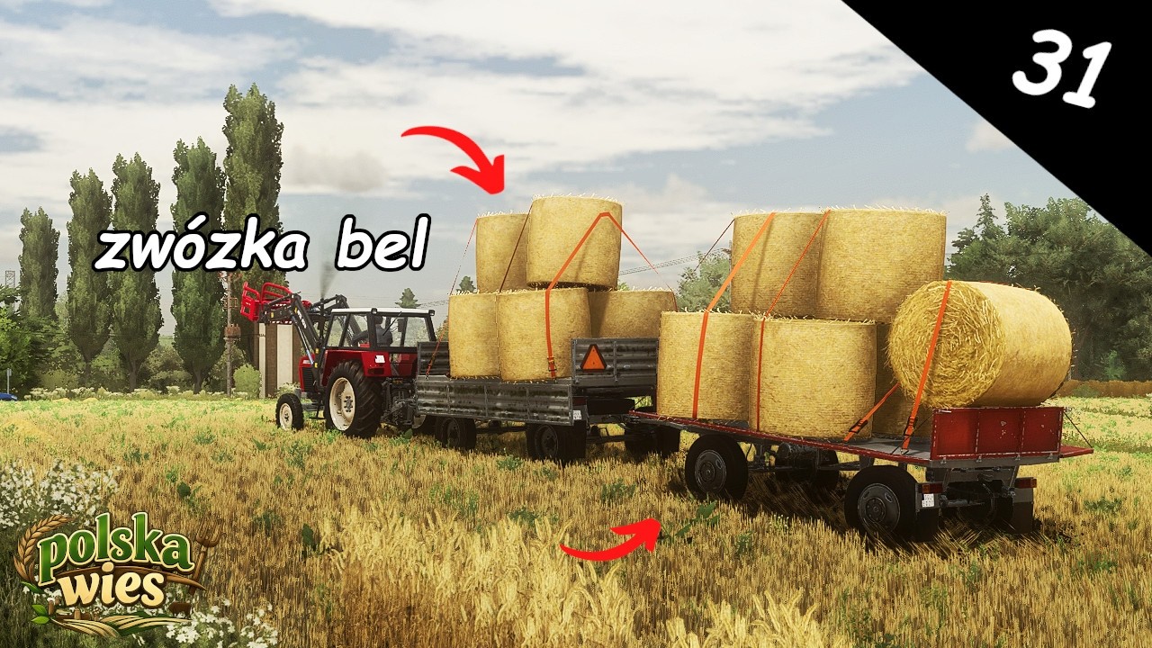 Oporowy zbiór belek😎| jestem mistrzem układania😂| Polska Wieś[31]