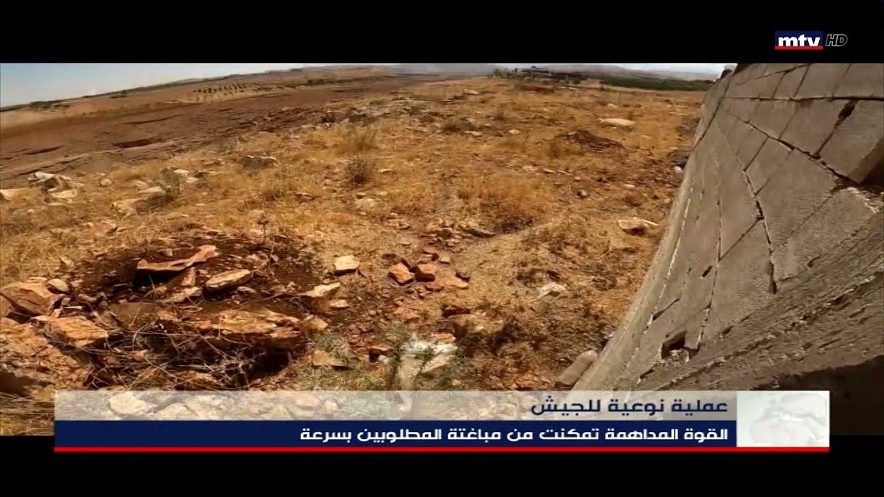 01/08/2021 -  عملية نوعية للجيش