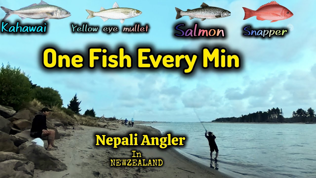 Nepali Angler in Newzealand #NepaliInNewZealand #KairakiBeach#NepalToNZ #FishingTrip#ChristchurchNZ