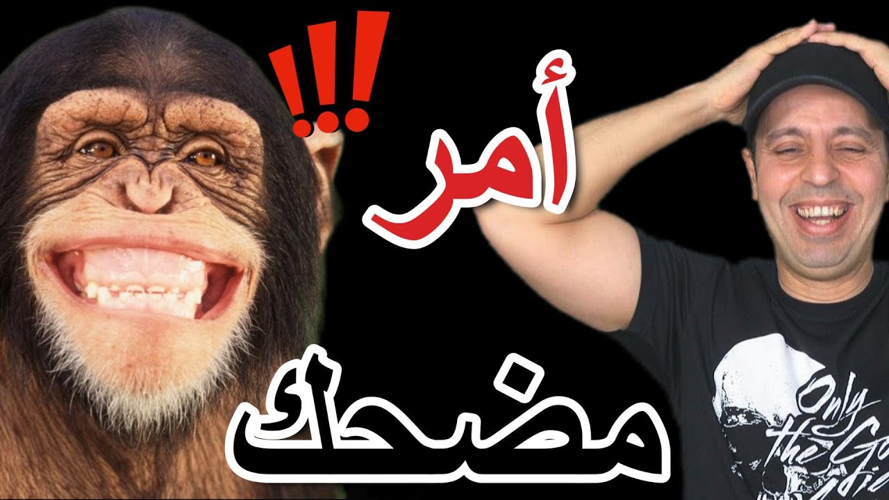 أمر مضحك
