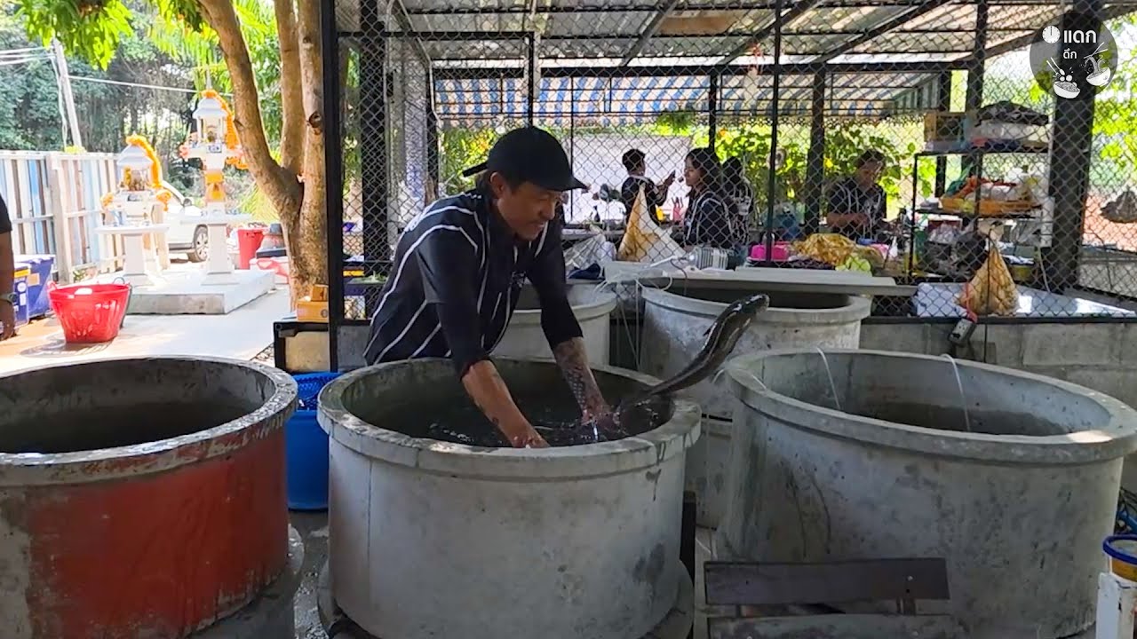 ร้านลับในซอยลึก อาหารพื้นบ้านเมืองสุพรรณ ปลาแม่น้ำเป็นๆ อาหารป่ารสจัด ครัวสุพรรณตะวันออก
