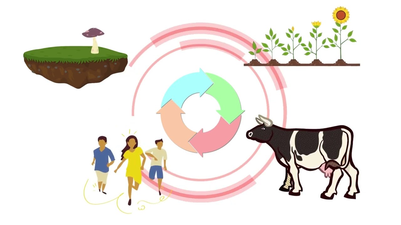La Economía Circular en la agricultura
