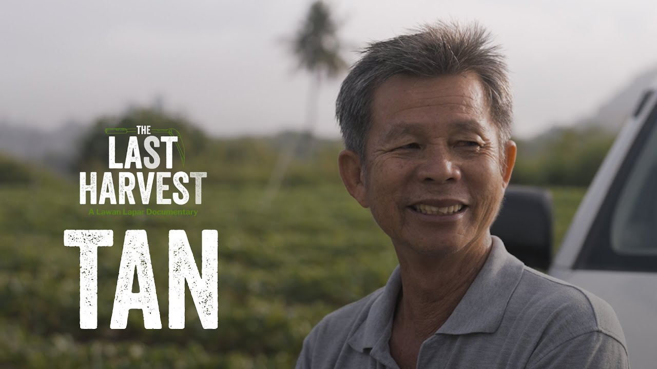 Are Chinese farmers in Malaysia 