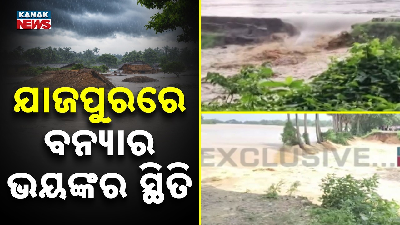 Jajpur Flood Update | 60-Foot Breach Leaves Bari Villages Under Water