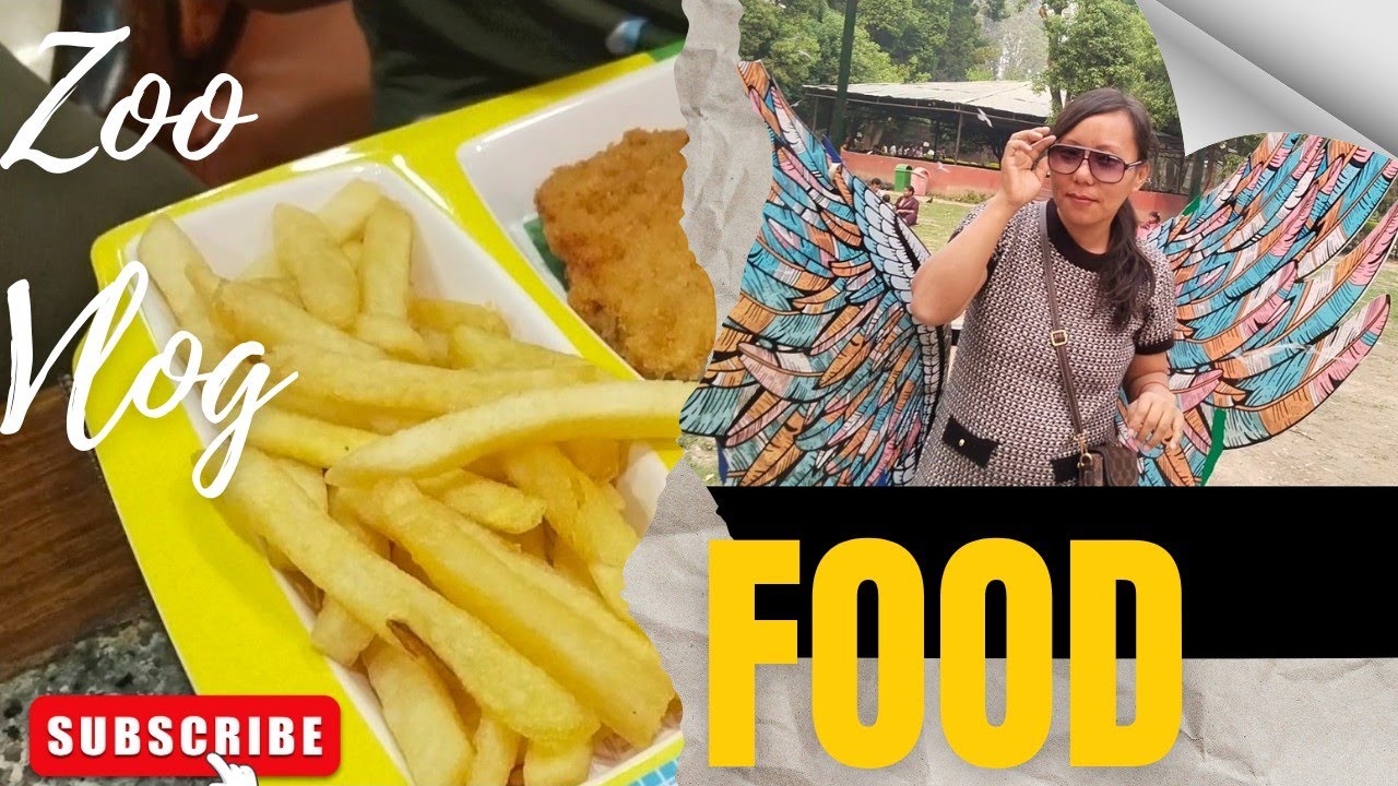 Central Zoo Vlog. | Food hunt | 
