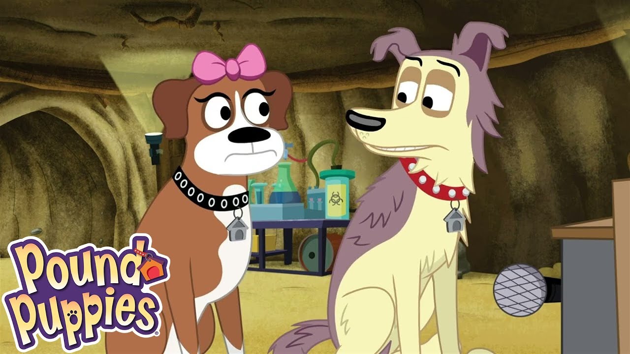 Pound Puppies | The Call of The Squirreldog | Season 1 | Pet Cartoon