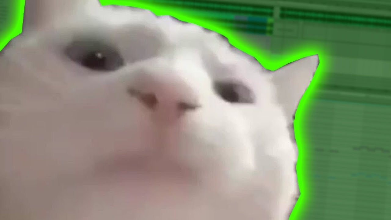 Cat Vibing To Ievan Polkka but it's Polka Swing