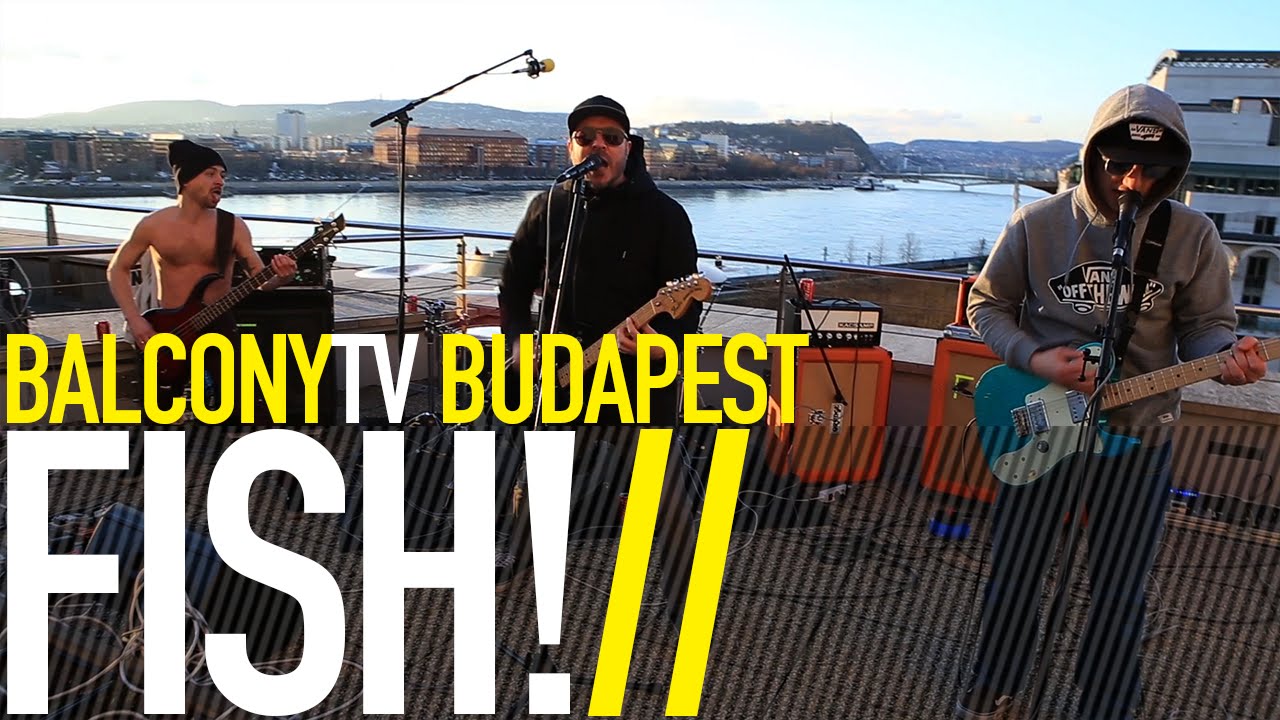 FISH! - KOCKÁSINGES LÁNYOK (BalconyTV)