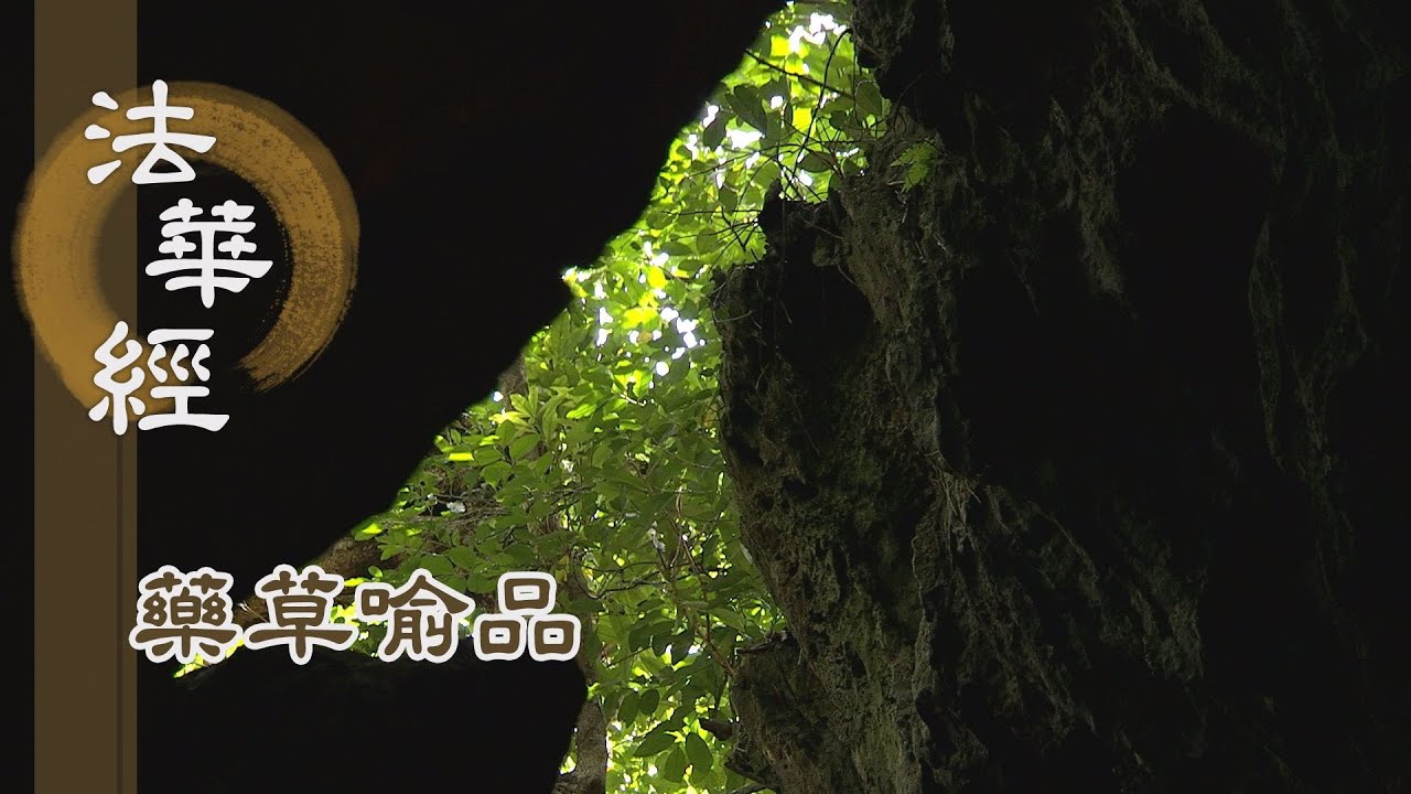 【靜思妙蓮華】法華經藥草喻品 - 根性利鈍 說法無量 - 20210709 第891集