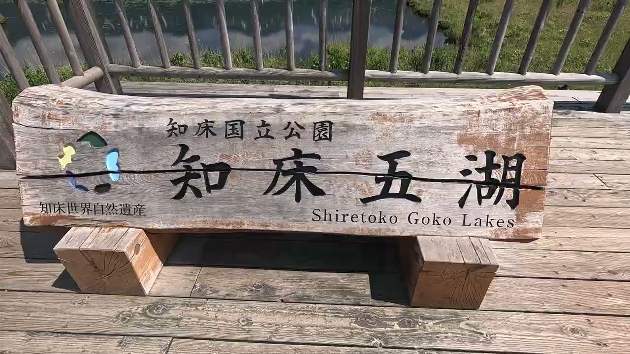 知床五 湖遊歩道2025年6月18日