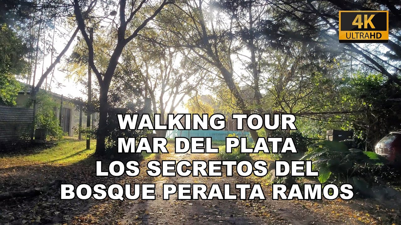 Recorriendo Mar del Plata: Los secretos del Bosque Peralta Ramos