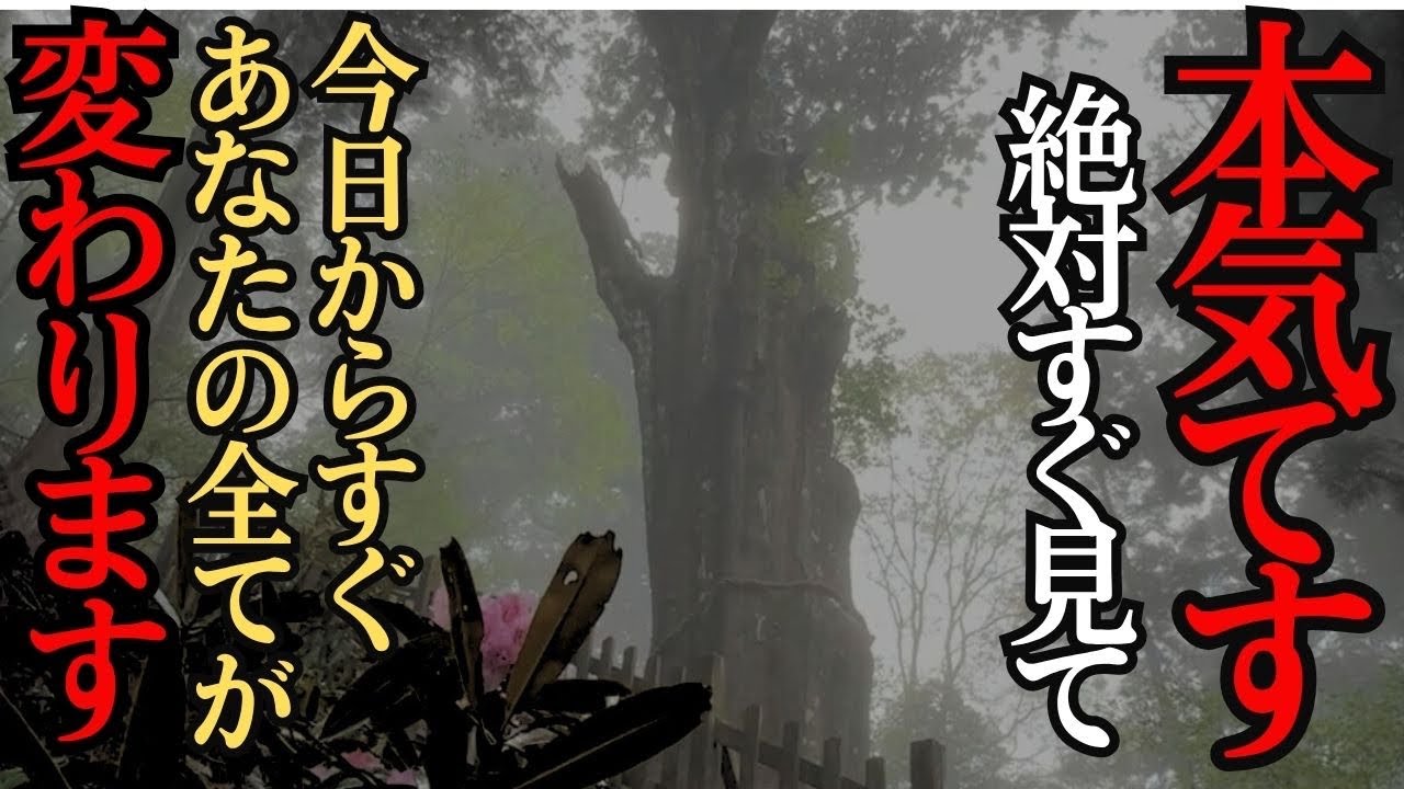玉置神社⚠️迷いに迷って公開※何度も消された本物映像です！見るだけで開運する不思議な動画【霧のサインは龍】神様に呼ばれた人しか見れません。見た人はかなり強運。#パワースポット＃遠隔参拝#奈良 #龍神
