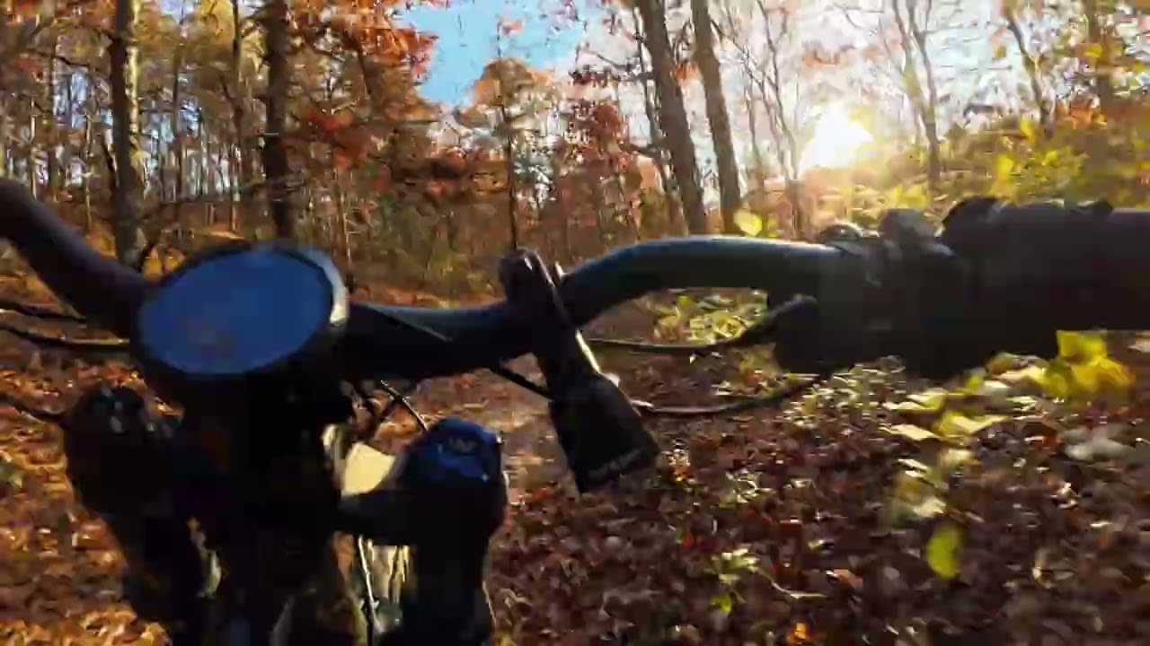 Bonnell 775MX RIPPING Trails (POV)