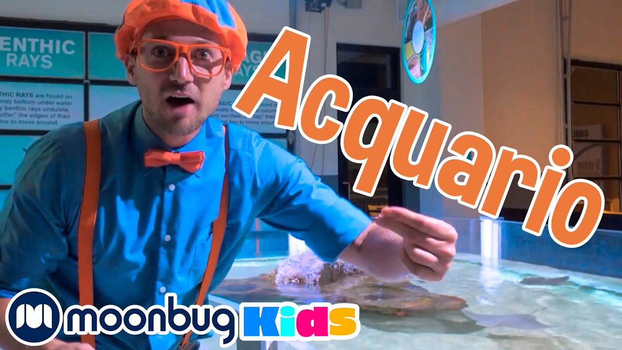 Blippi visita un acquario | BLIPPI per bambini | Moonbug Kids - Cartoni Animati