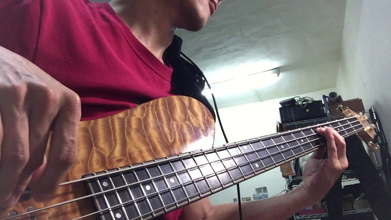 Gateway Worship - God Is With Us Now (bass cover)