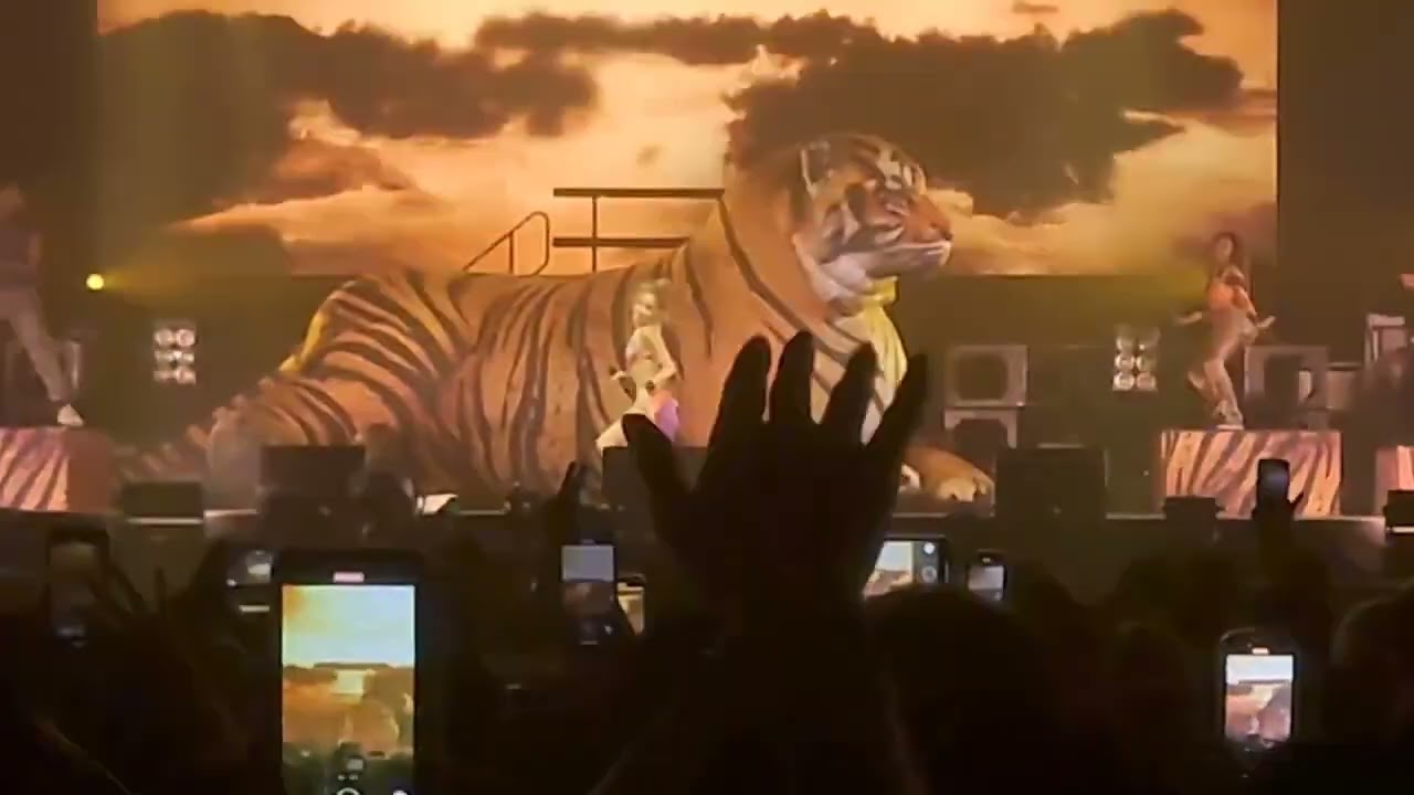 Tyla performing “Bana Ba” at the Summer Sonic Festival in Osaka