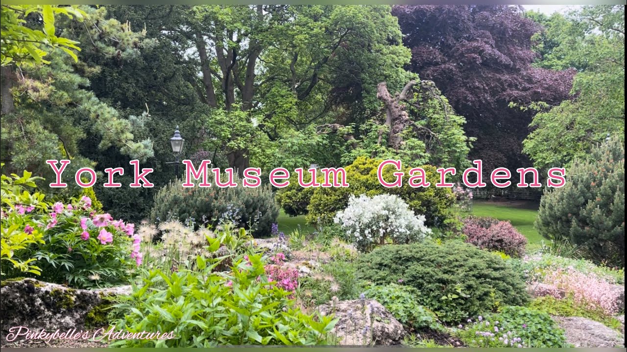 York Museum Gardens 🪴 Yorkshire, England
