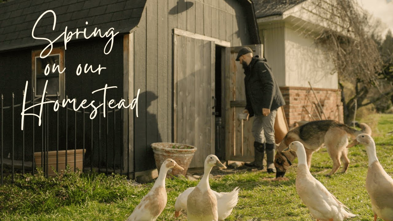 #16 Peaceful Countryside Vlog | Early Spring Days on our Farm