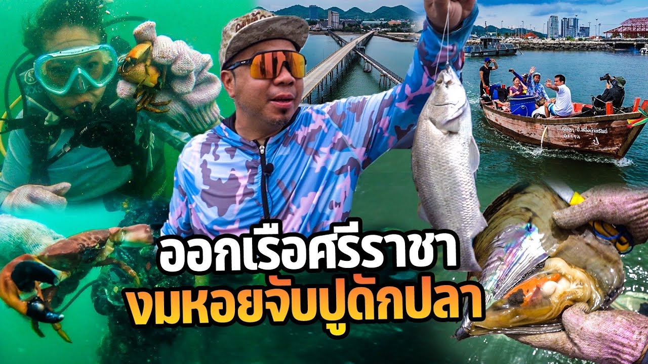 ออกเรือศรีราชา งมหอยจับปูดักปลา!
