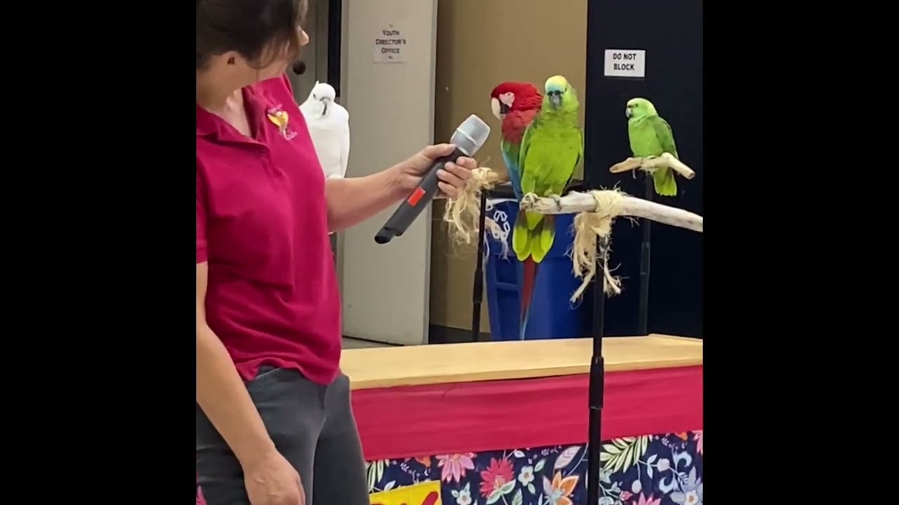 Bird Show &ldquo;Happy Birds&rdquo;