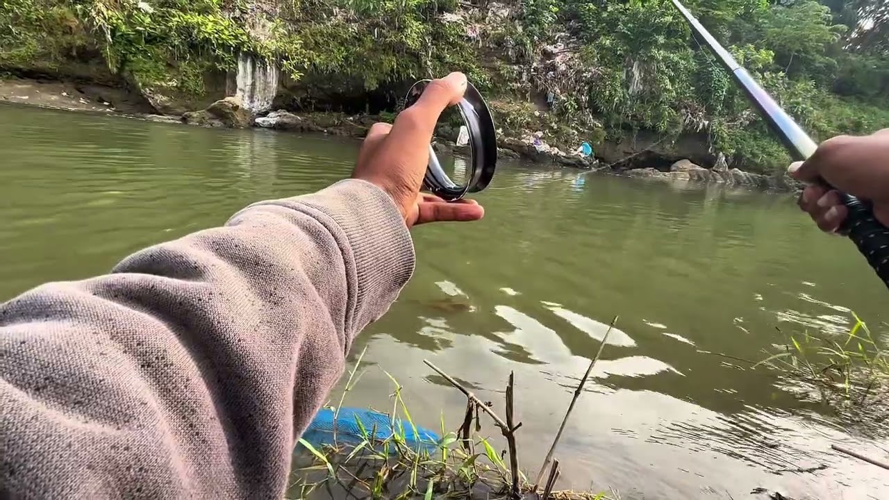 IKAN MASIH SANGAT MELIMPAH DAN MUDAH 💥‼️ #mancing #fishing #mancingmania #fishingvideo 