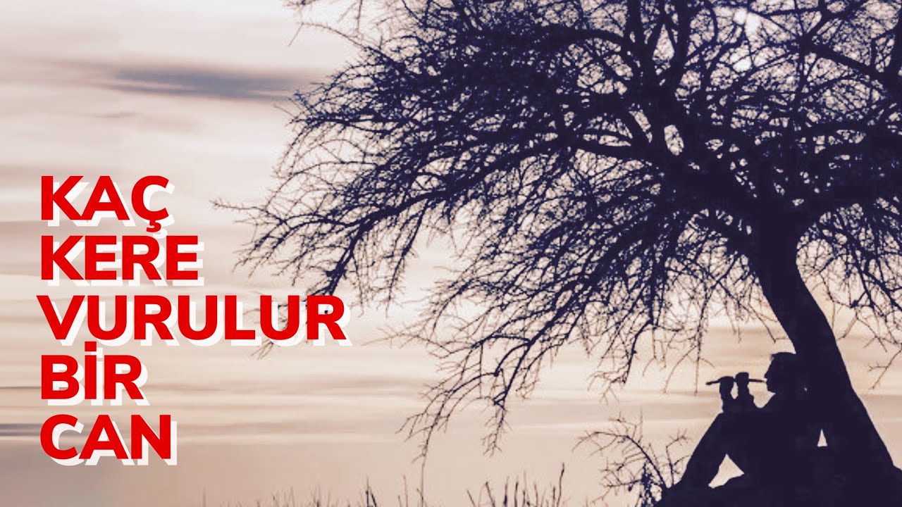 Berdan Mardini - Kaç Kere Vurulur Bir Can (Akustik)