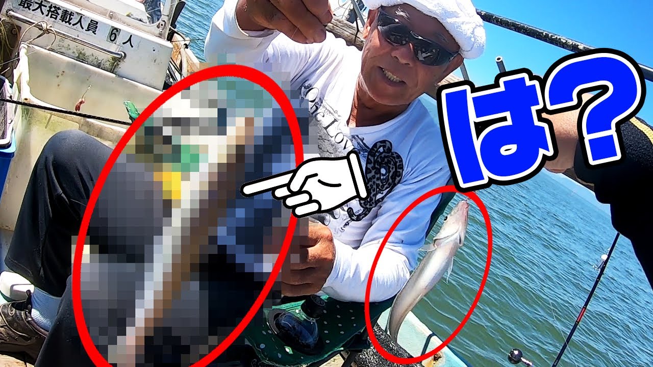 コレがキス！？親父の釣ったキスがデカ過ぎた！