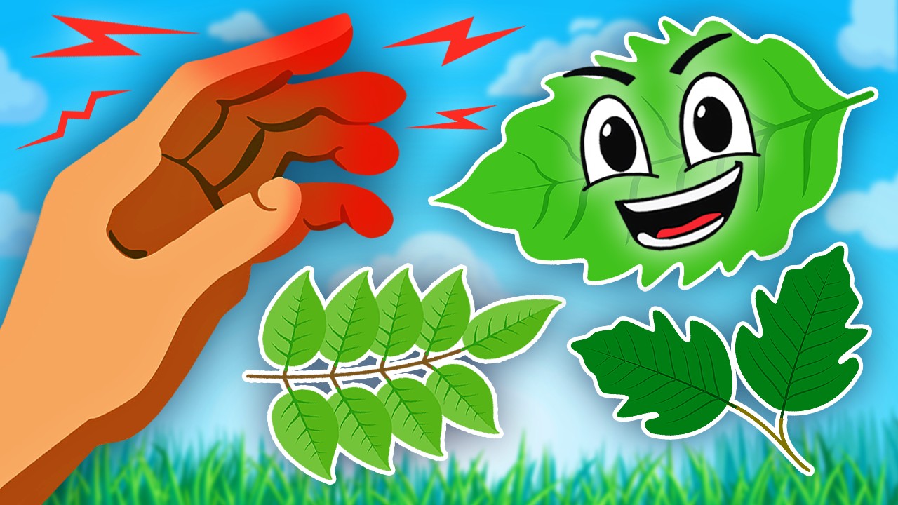 Don't Touch THESE Plants! | Learning Songs For Kids | KLT