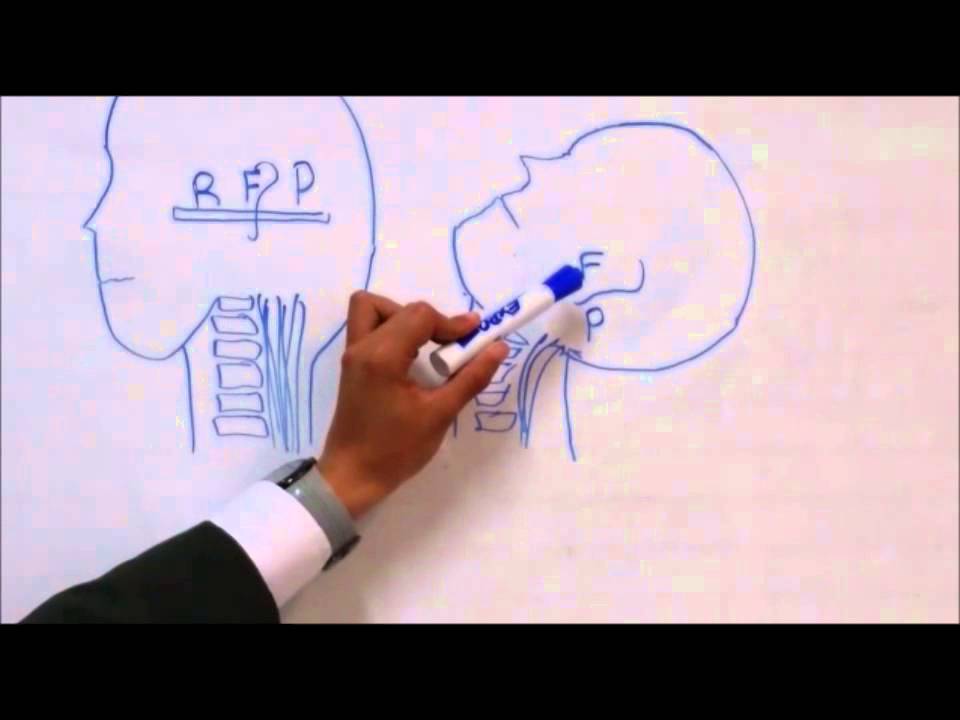 BIOMECANICA DEL MOVIMIENTO