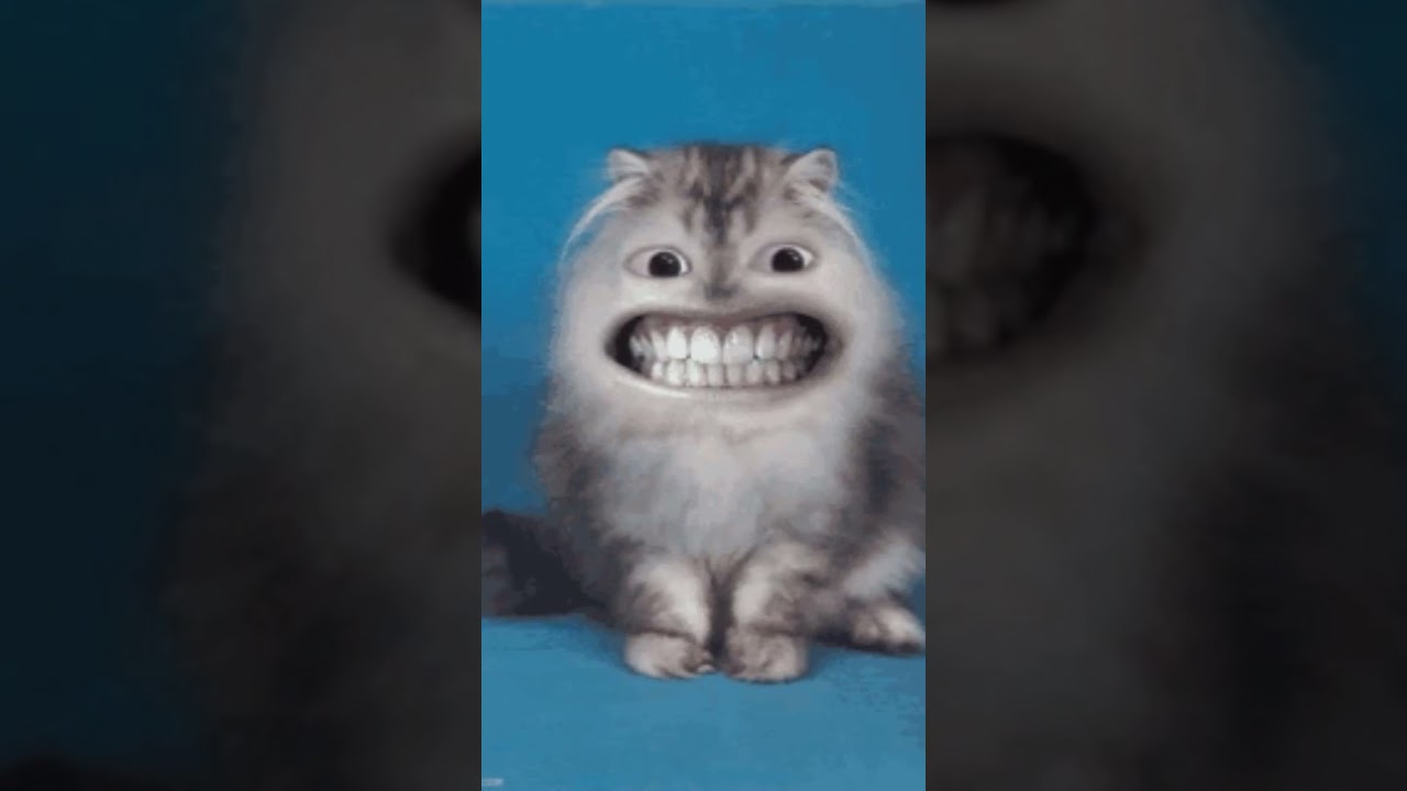 duba dooba 😍😍 cat dance #cartoon #comedy