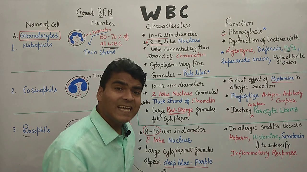 WBC in Hindi | White blood cell Structure & Function Part -1 | Granulocyte |  | NEET  Biology | GPAT