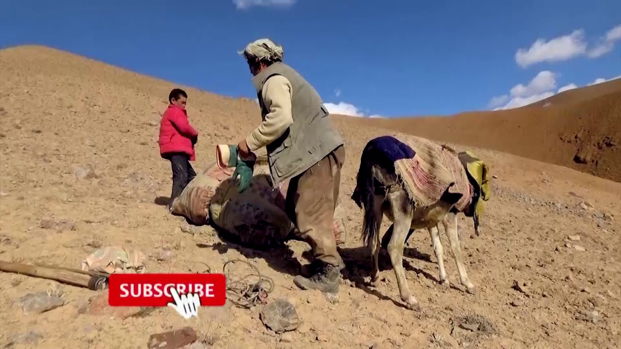 Bamyan's deadly winter struggle for survival
