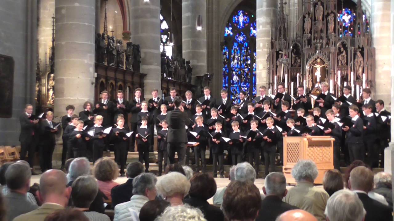Knabenchor collegium iuvenum Stuttgart (CIS) 
