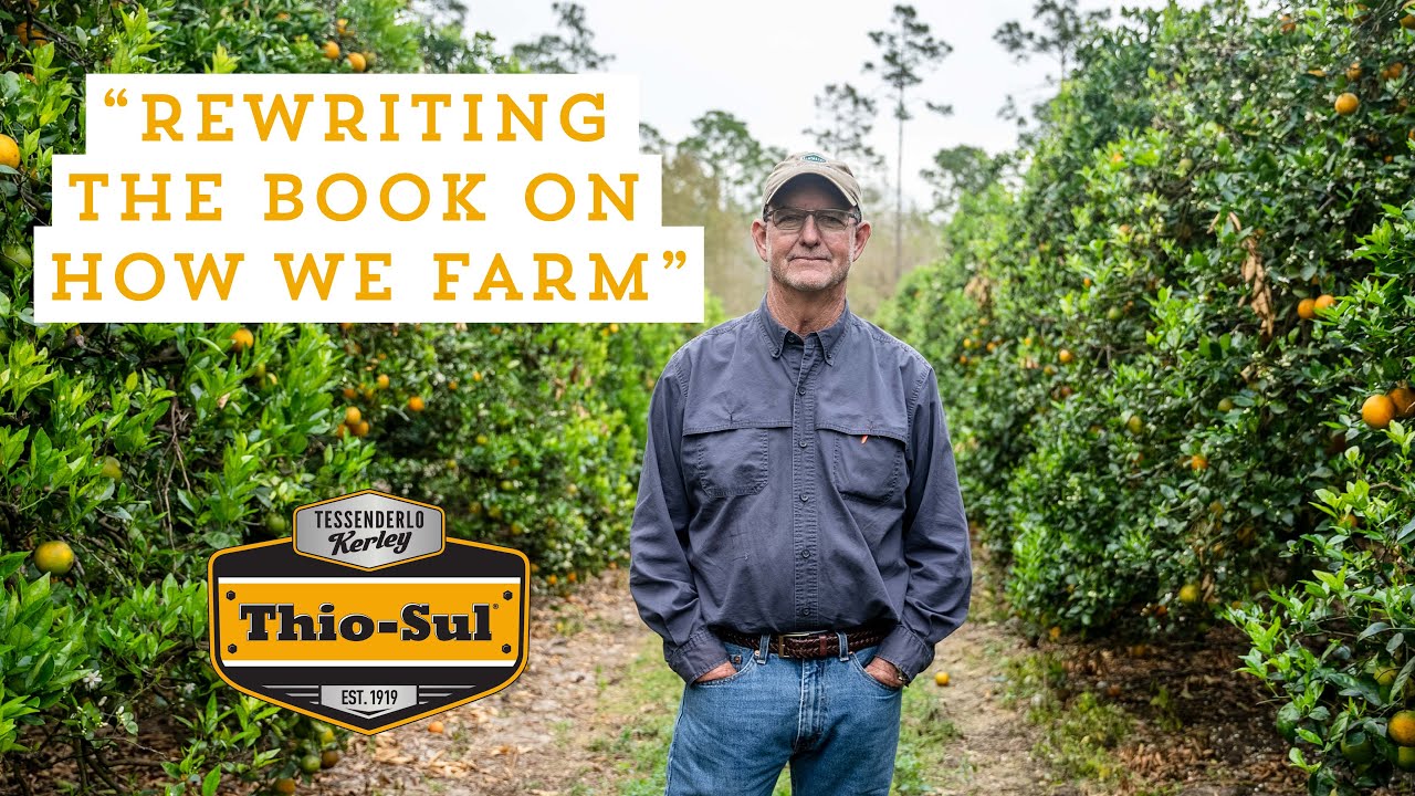 Combat Citrus Greening with Thio-Sul® - A Citrus Grower's Story