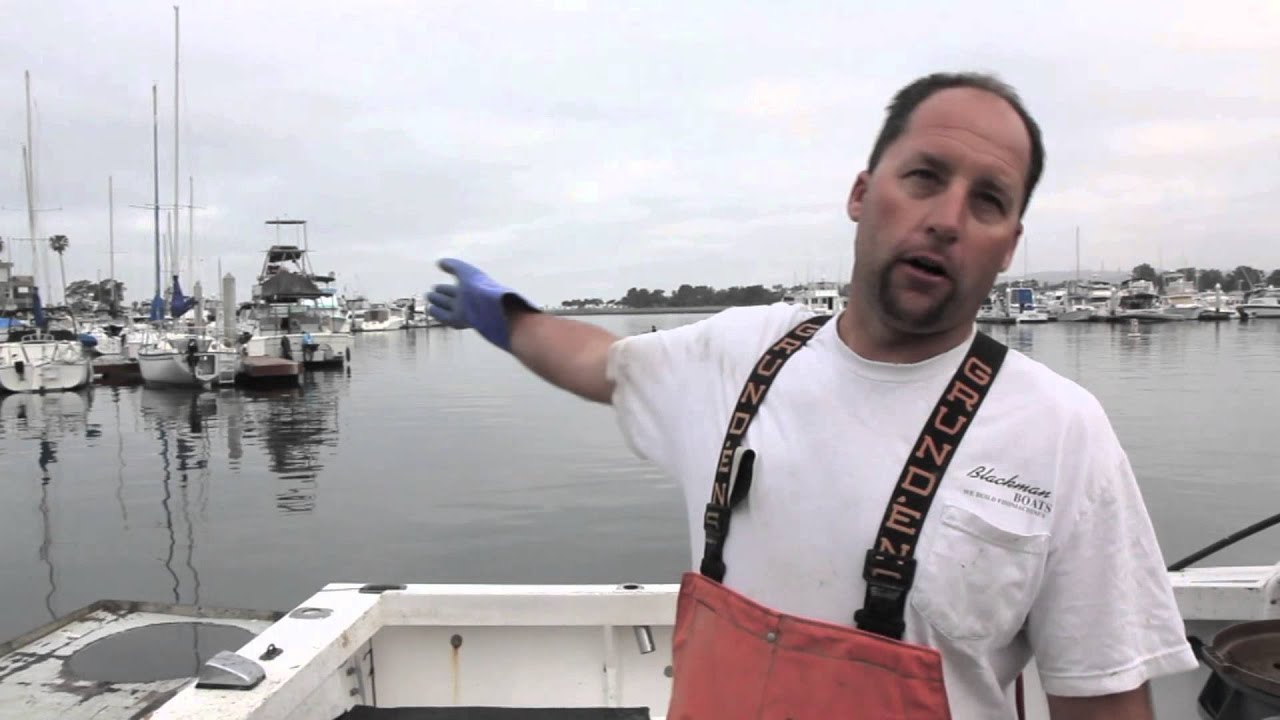 Lobster fisherman Shad Catarius