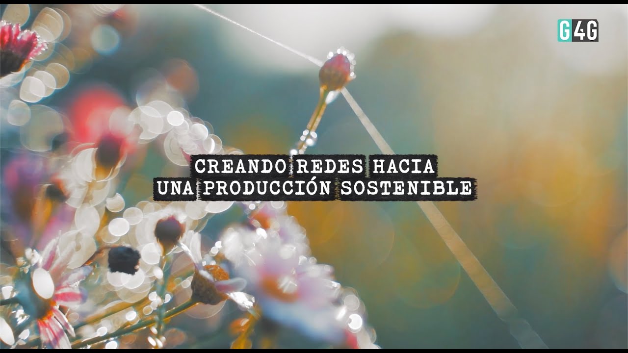 G4G  Creando Redes hacia una Producción Sostenible