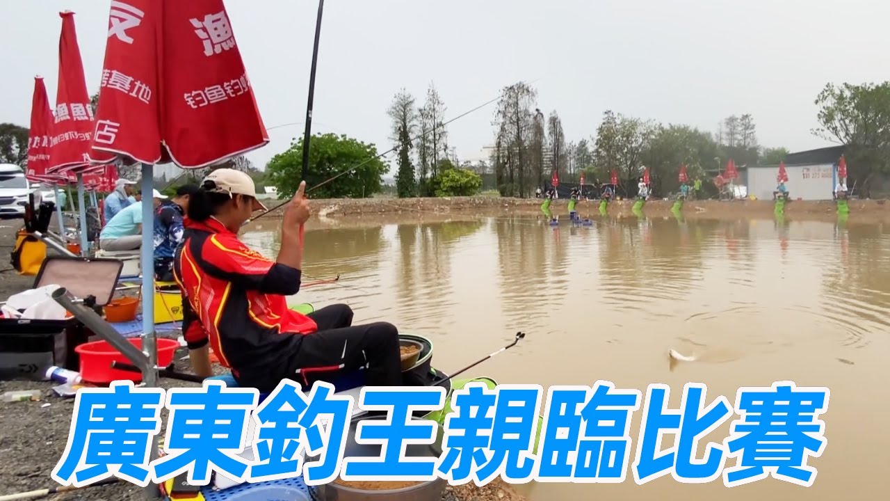 凌晨四点出发钓鱼，广东钓王亲临综合赛，疯子抽窝大货不断！【游钓黑坑—疯子】