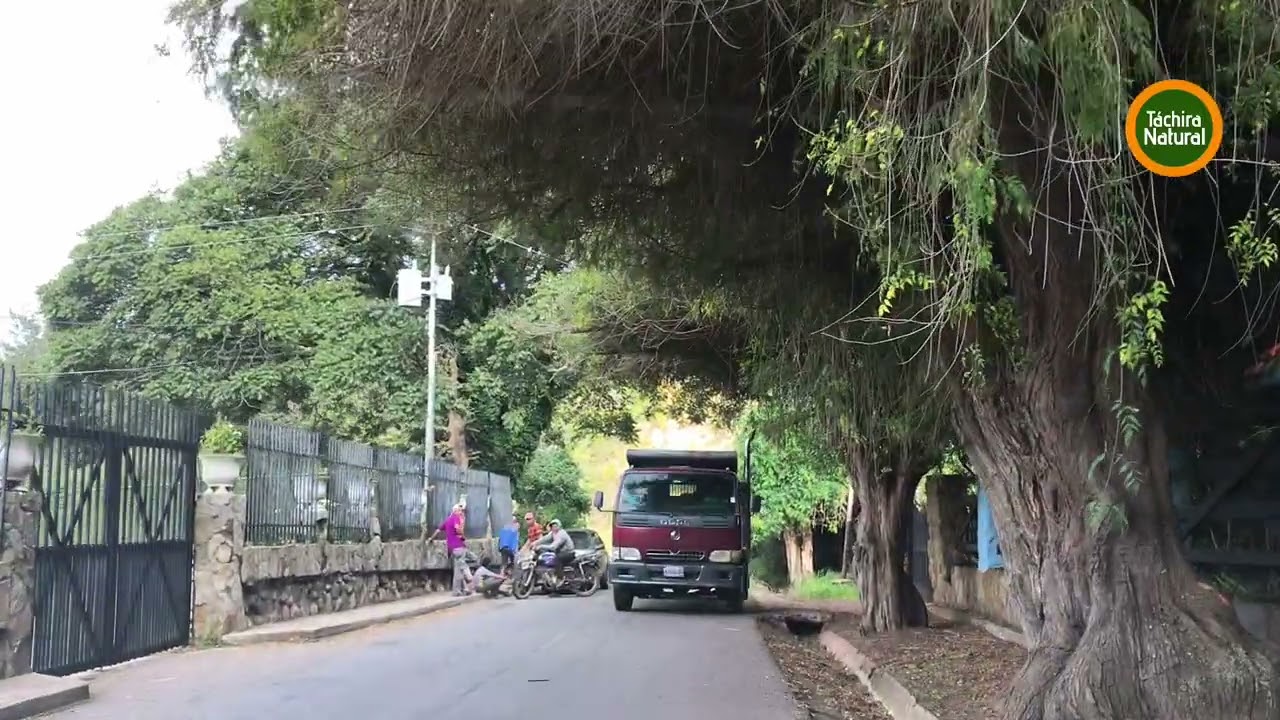 Ruta entre Páramo El Zumbador y Los Mirtos