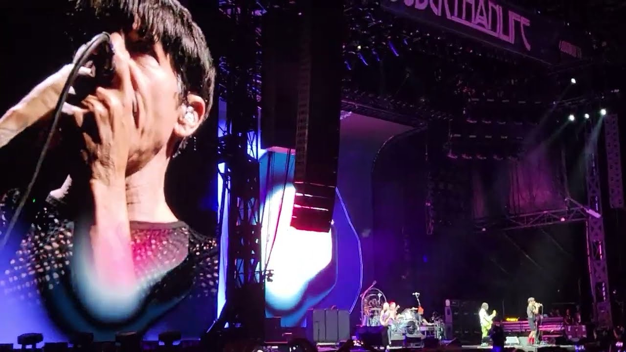 Red Hot Chili Peppers - Californication(Live)