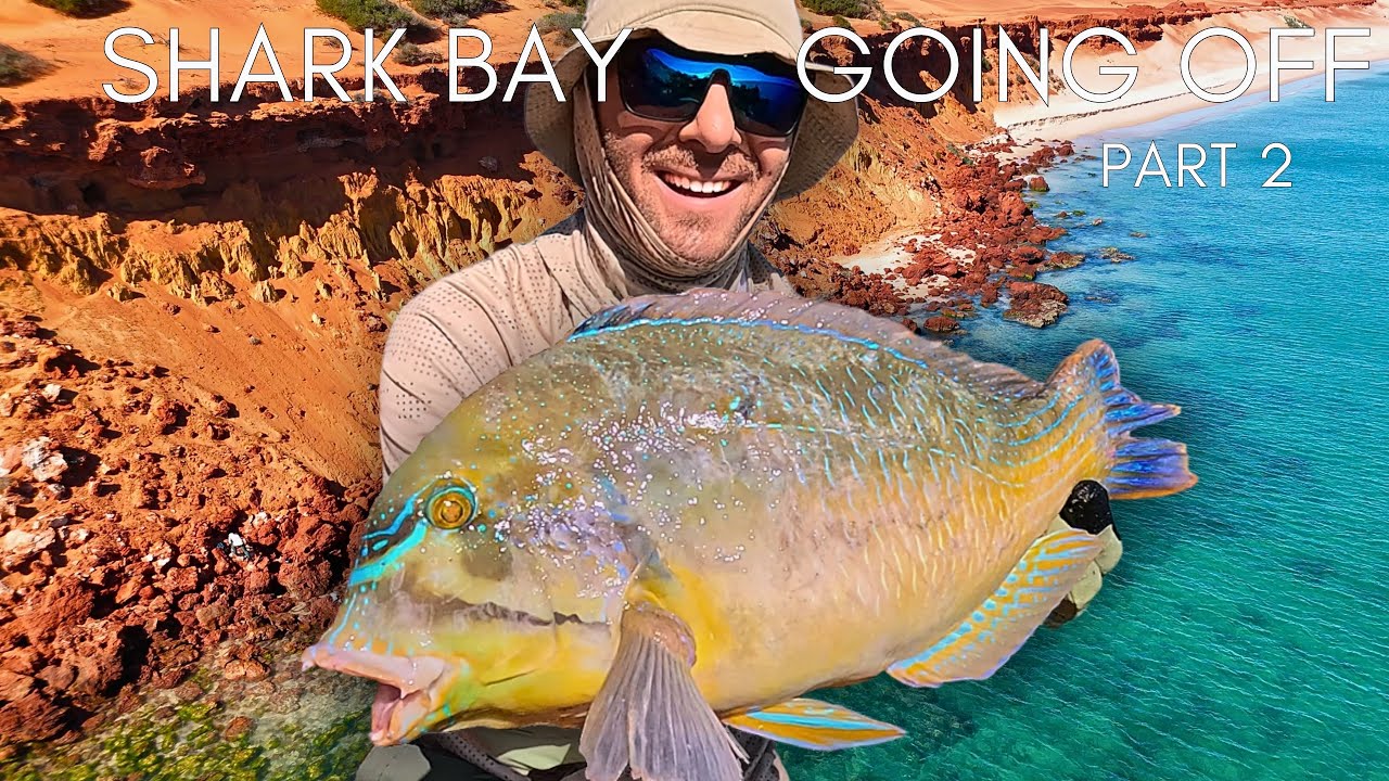 INSANE FISHING ACTION | Shark Bay Adventure Day 3 & 4