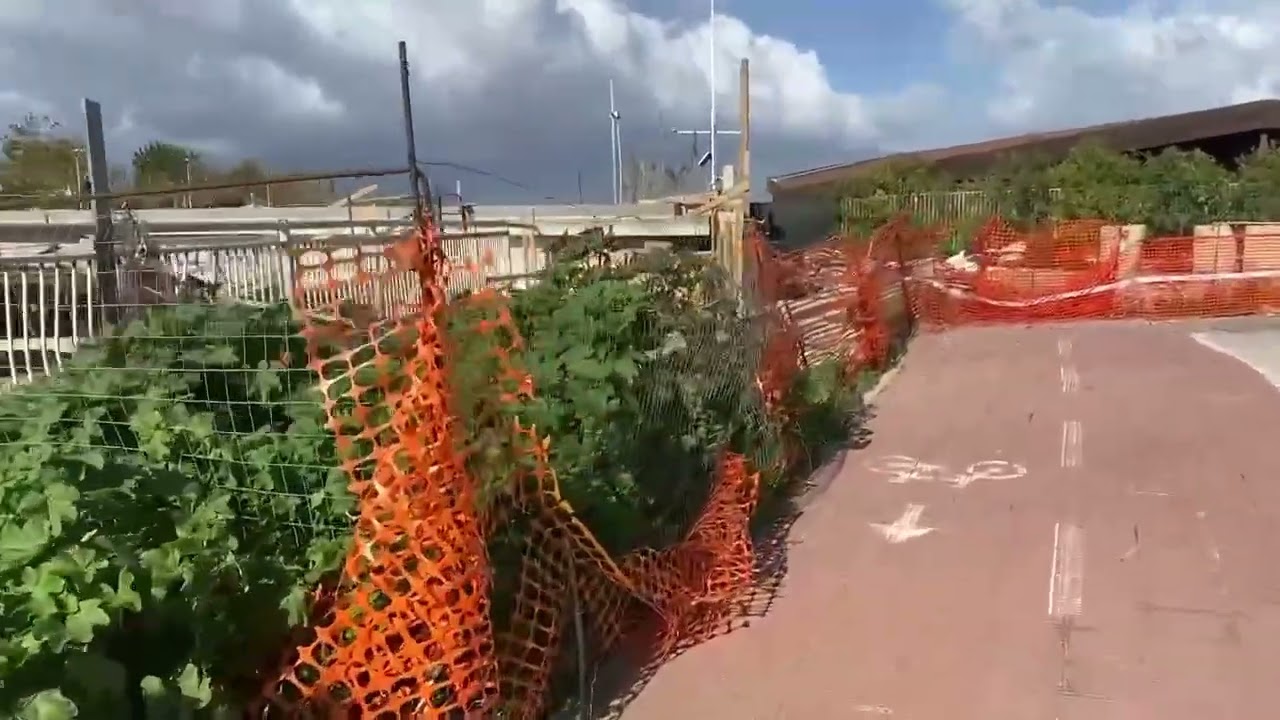Reggio Calabria, lo stato disastroso in cui versa il Ponte Calopinace