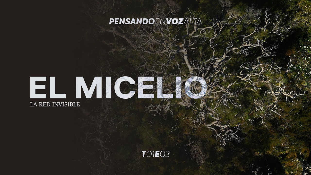 El micelio - La red invisible | T01E03 - Pensando en voz alta