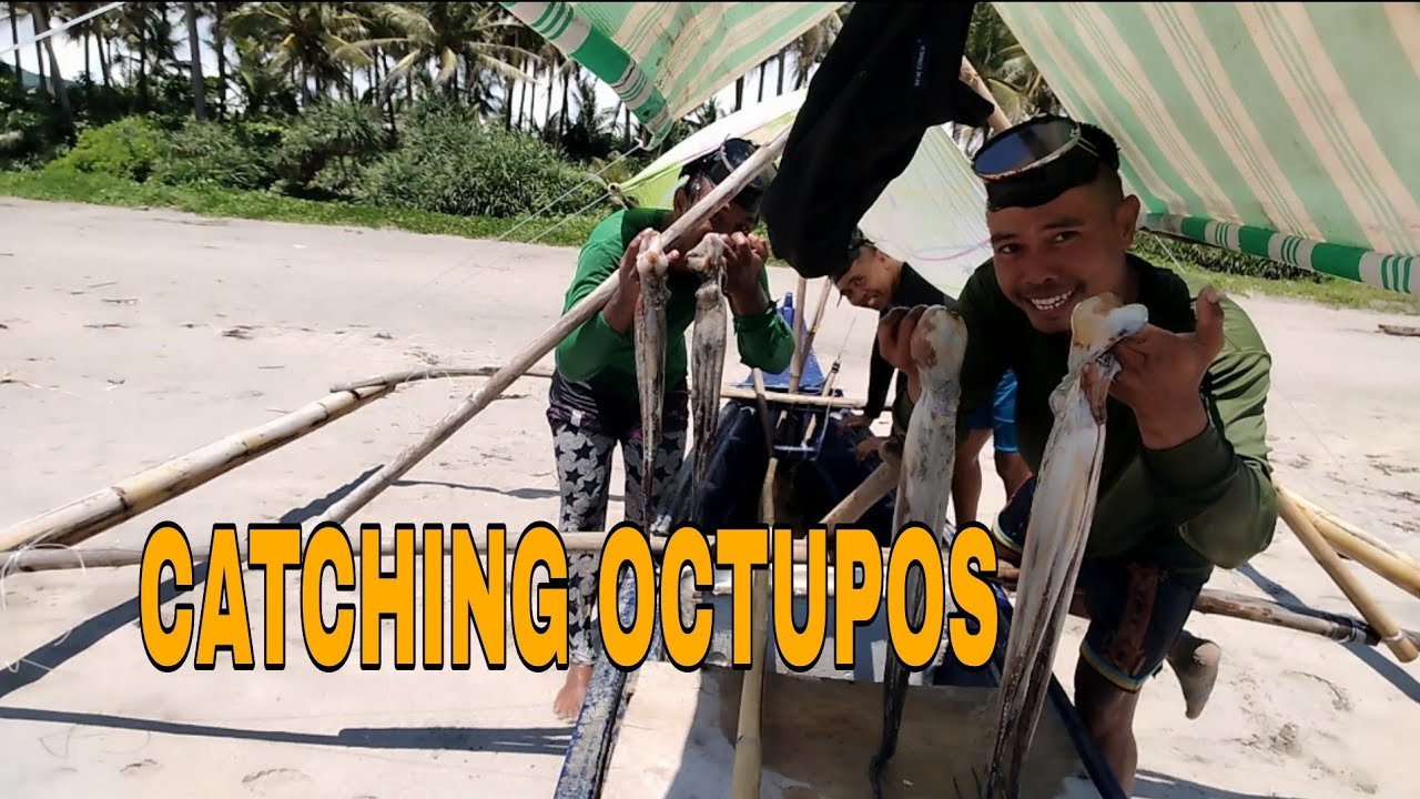 CATCHING OCTUPOS | Salamat Sa Panibagong Blessings 