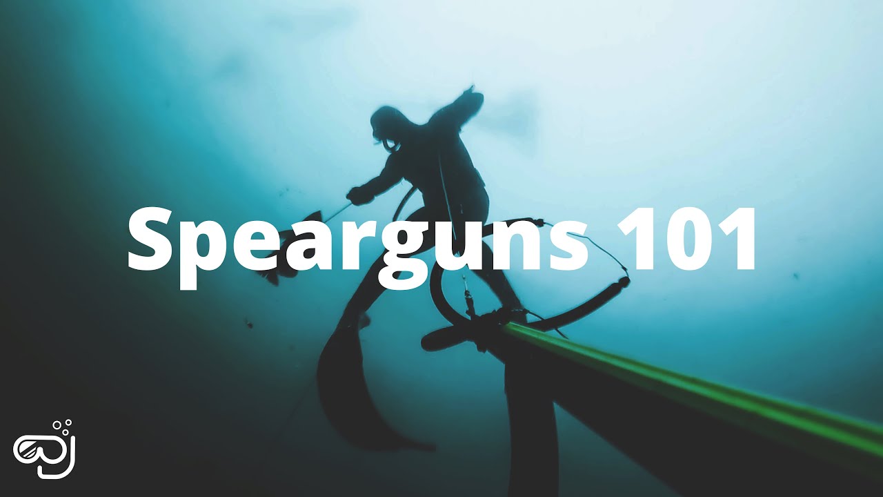 Подводные ружья 101