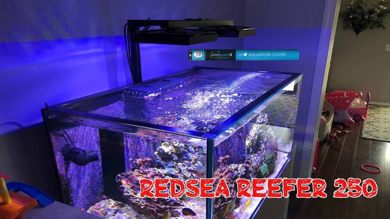 Red Sea Reefer 250 | DD Jumpguard PRO DIY Net Screen Aquarium Cover