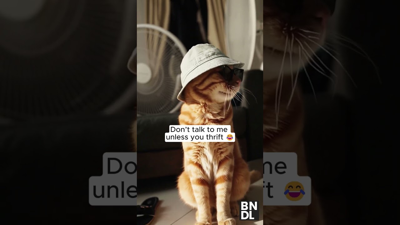 Don&rsquo;t Talk to Me Unless You Thrift 😼🧢 | BNDL Cat Edition