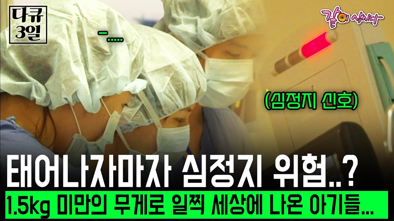 [다큐3일] 태어나자마자 심정지 위험..? 1.5kg 미만의 무게로 일찍 세상에 나온 아기들을 케어하는 신생아 중환자실.... | KBS 2013.03.24