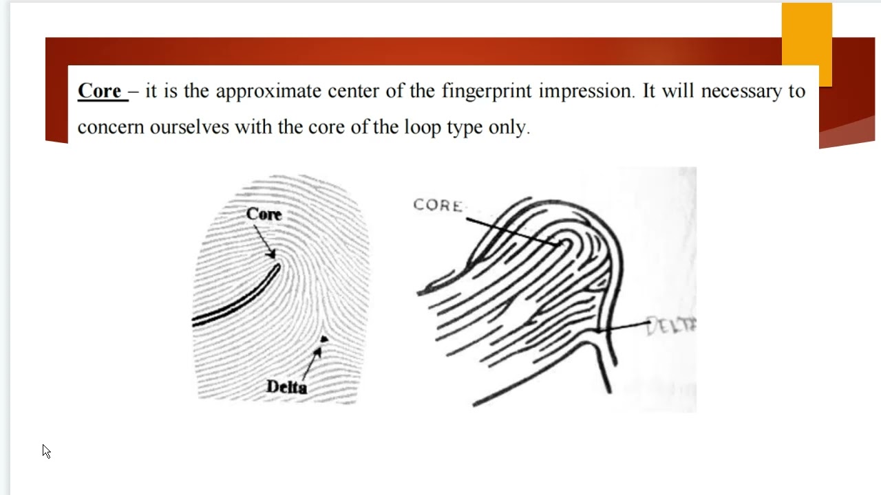 How to select Core and Delta (Rules) | Fingerprint Classification