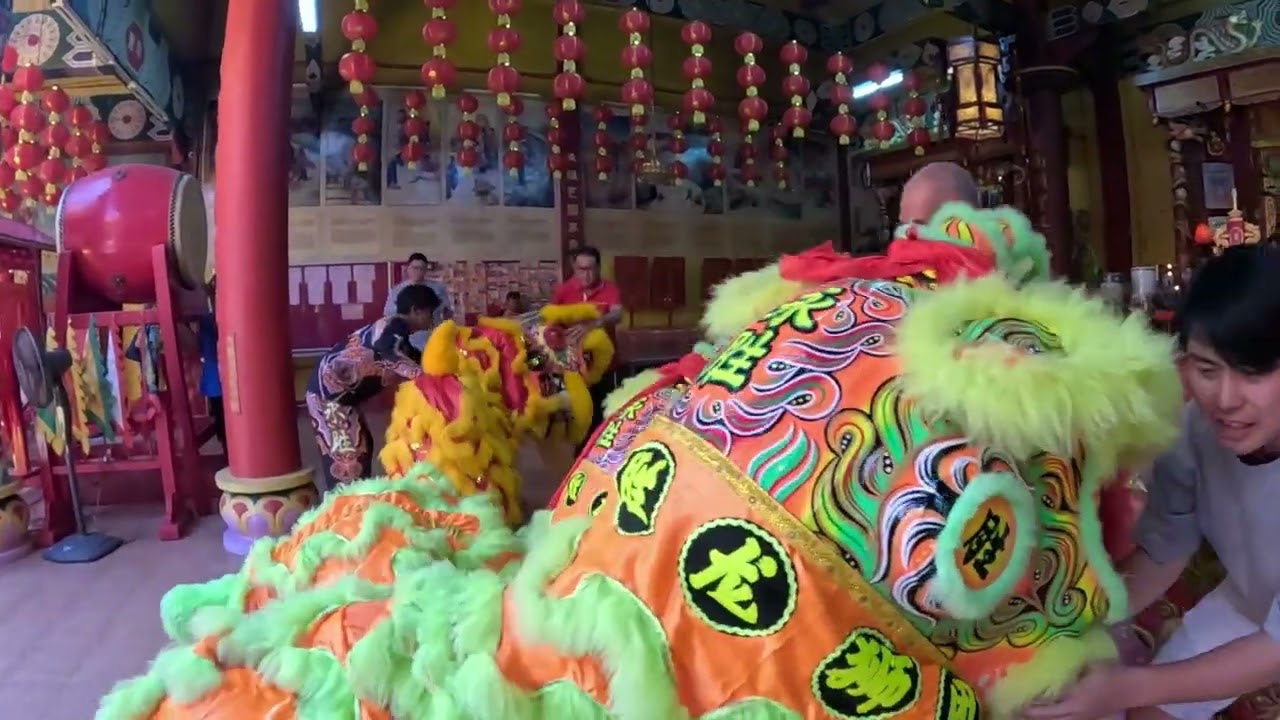 lion dance paying respect at peak nam tong temple after eye dotting 2026